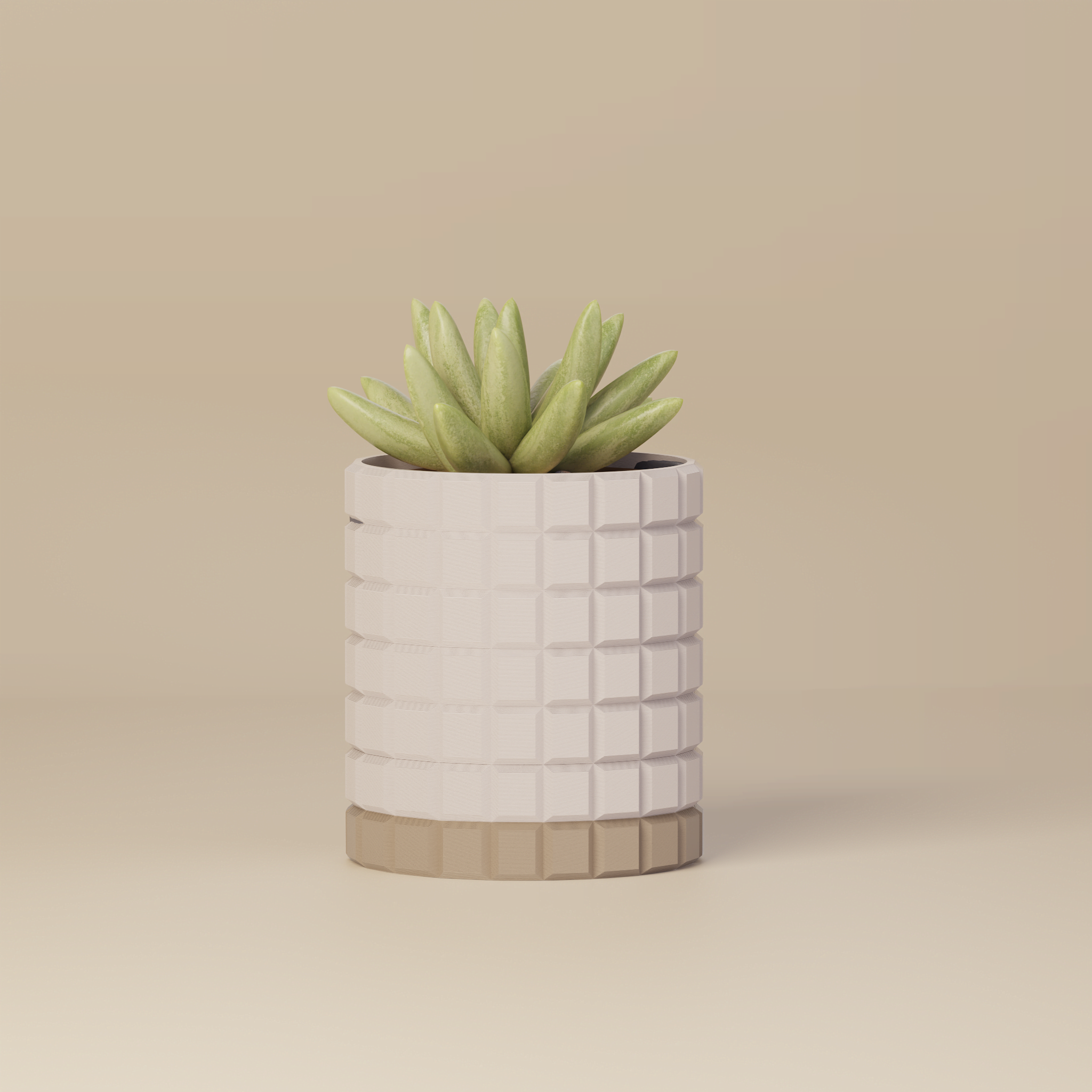 Molly - Modern 3D Printed Planter