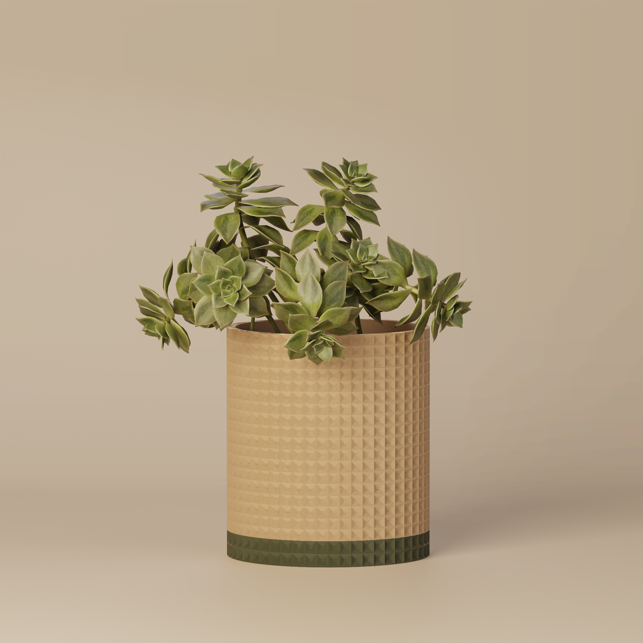 Moory - Detailed 3D Printed Planter