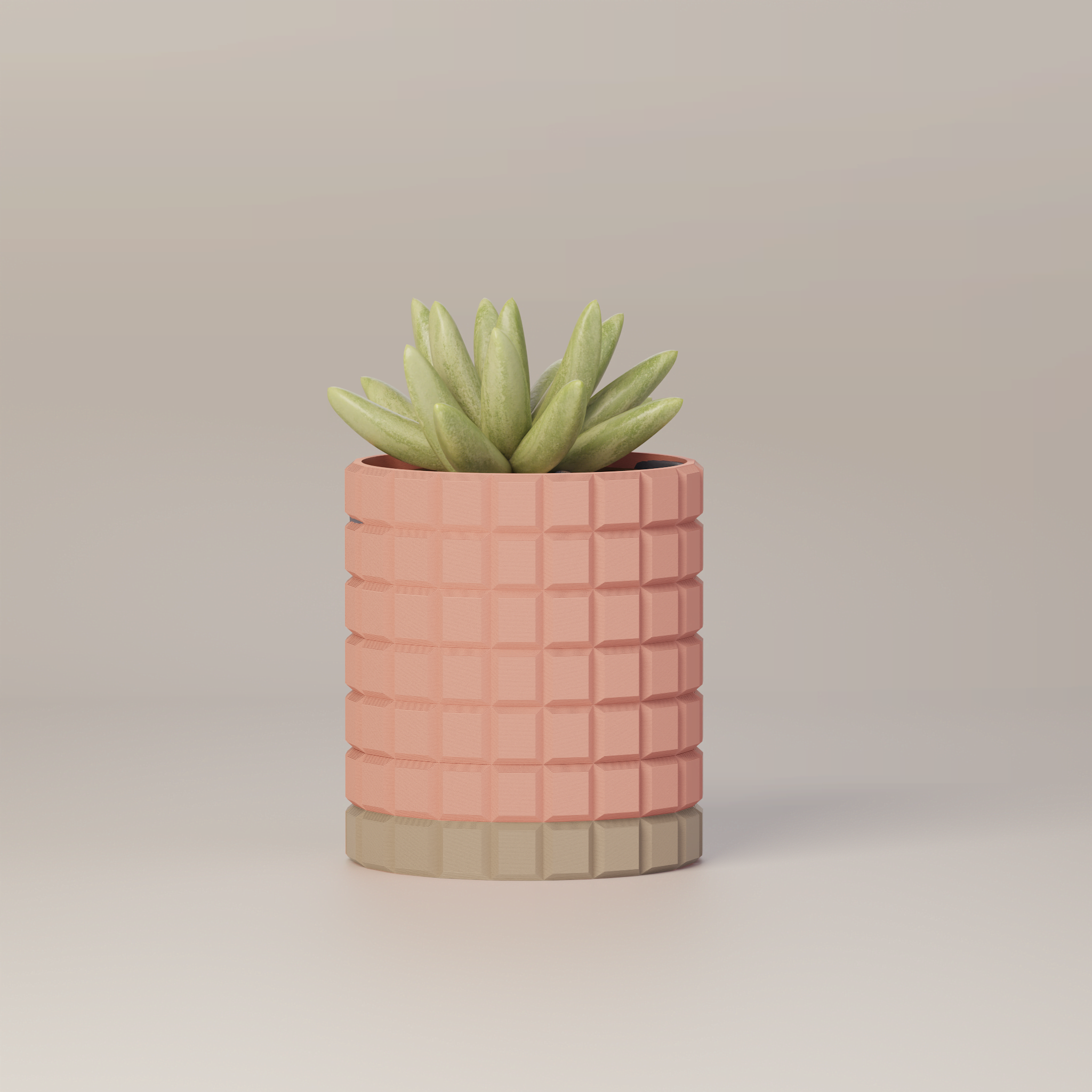 Molly - Modern 3D Printed Planter