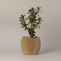Tate - Geometric 3D Printed Planter
