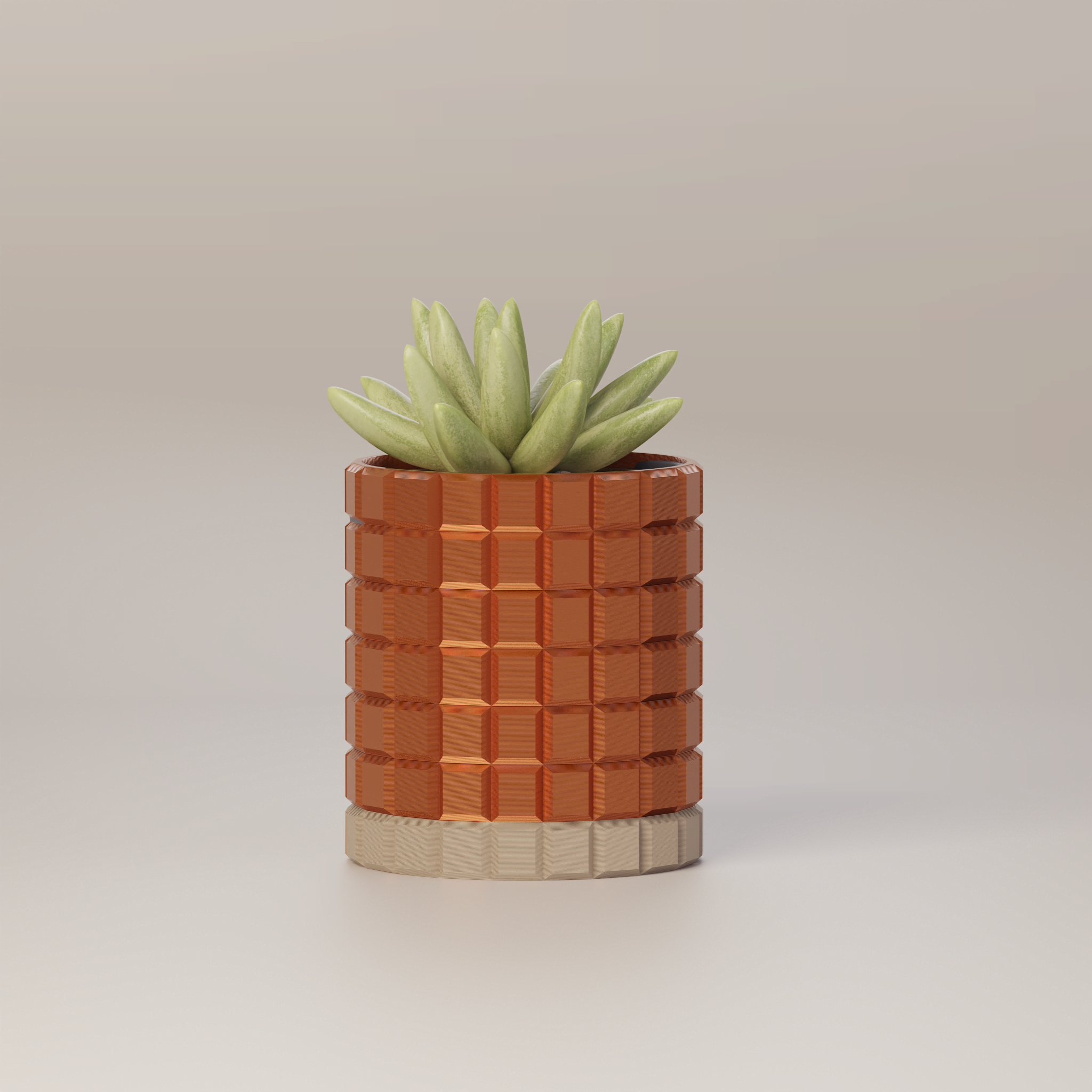 Molly - Modern 3D Printed Planter