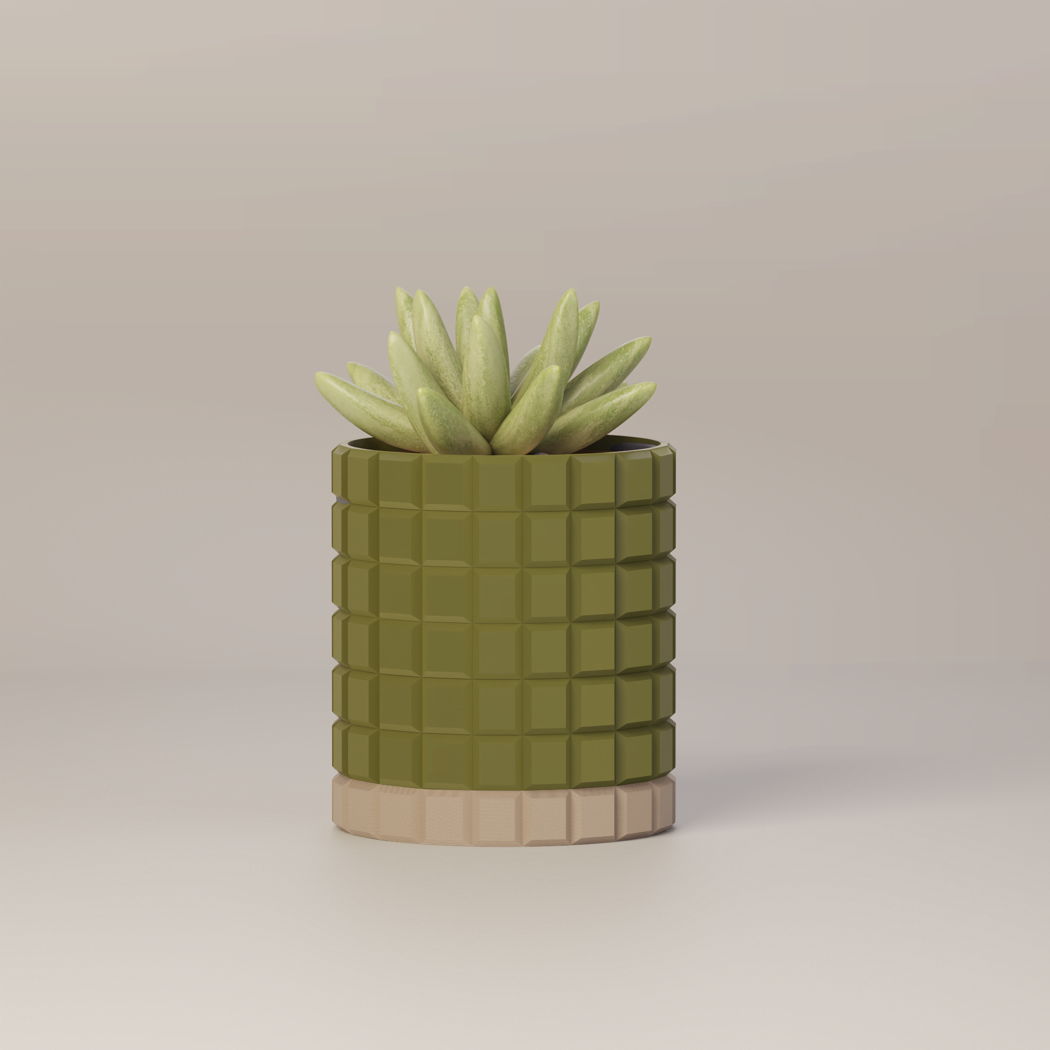 Molly - Modern 3D Printed Planter