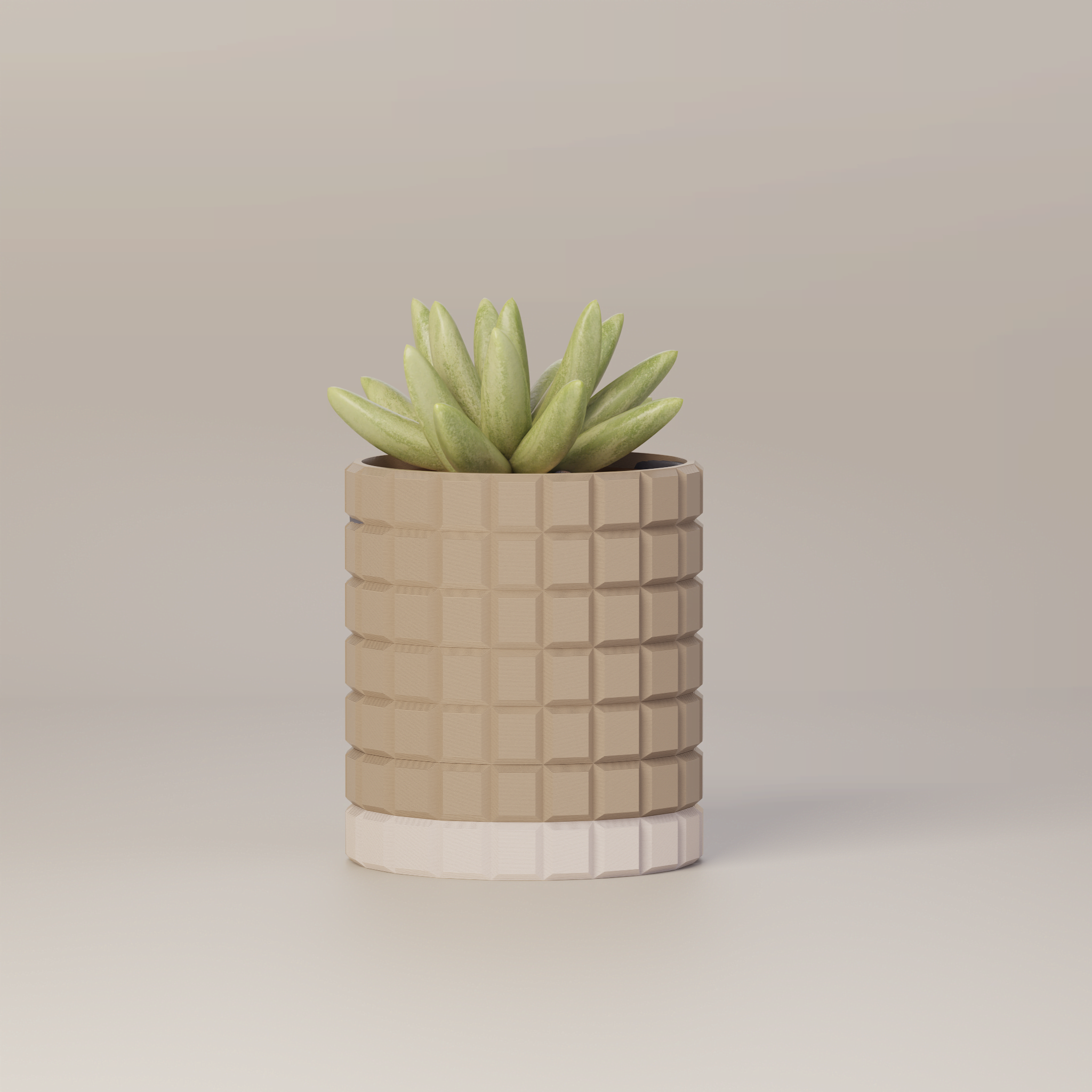 Molly - Modern 3D Printed Planter
