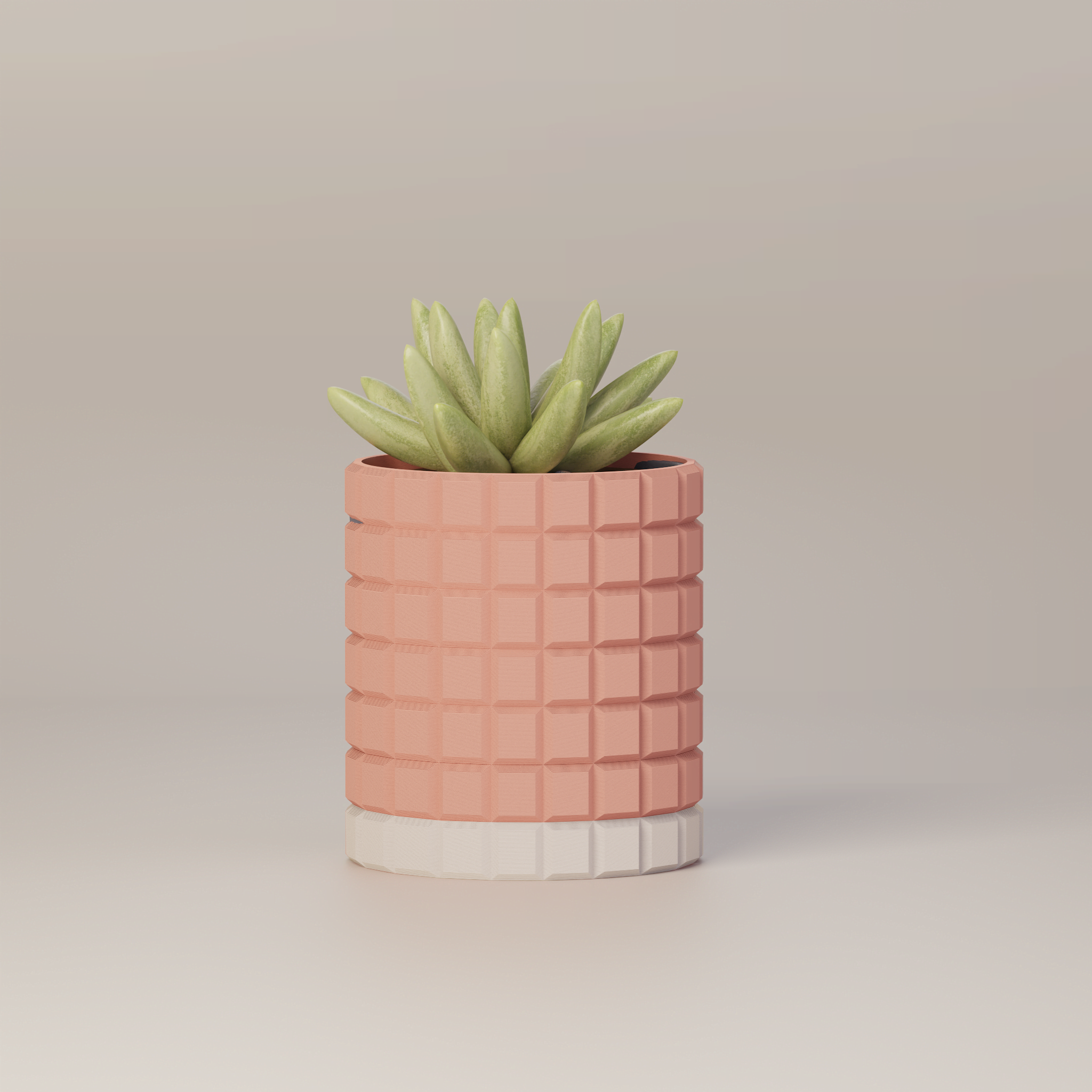 Molly - Modern 3D Printed Planter