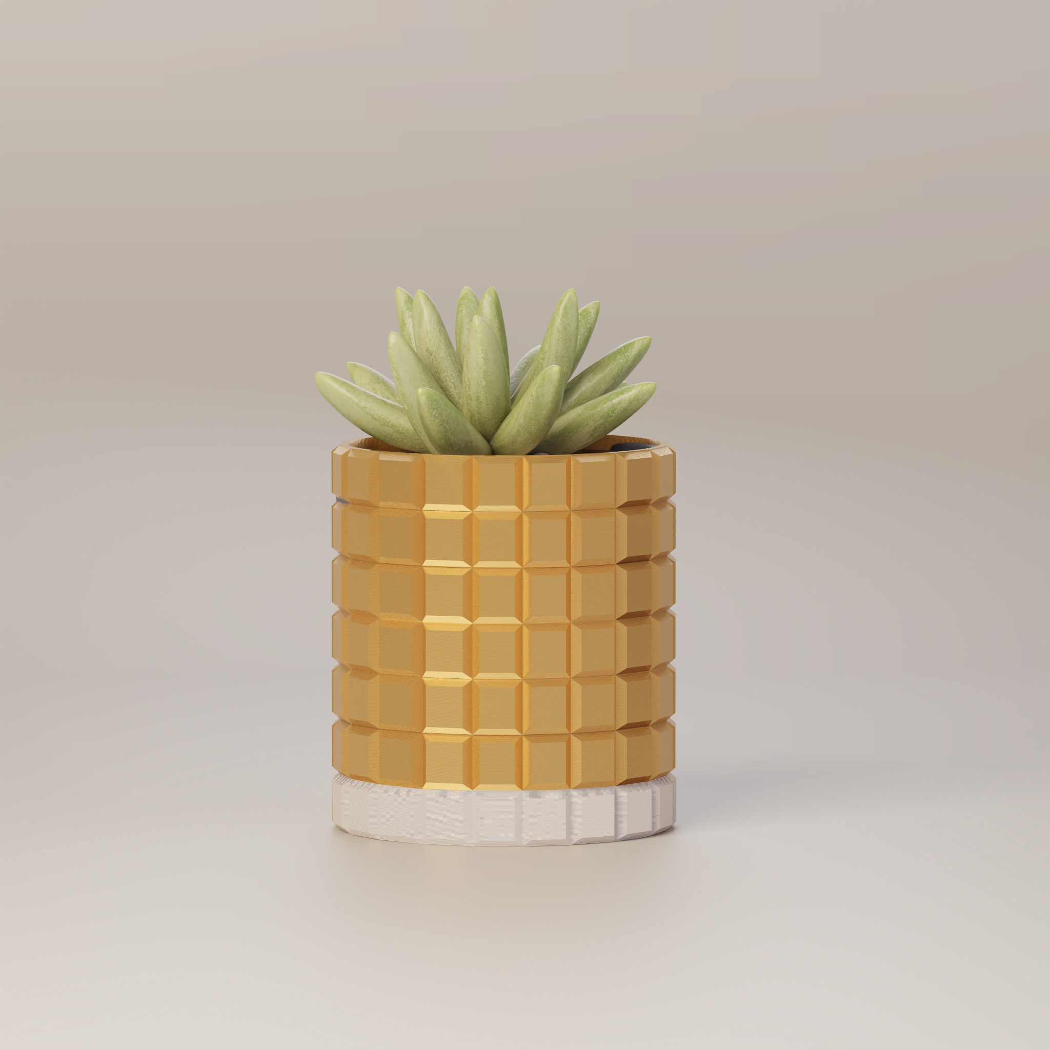Molly - Modern 3D Printed Planter
