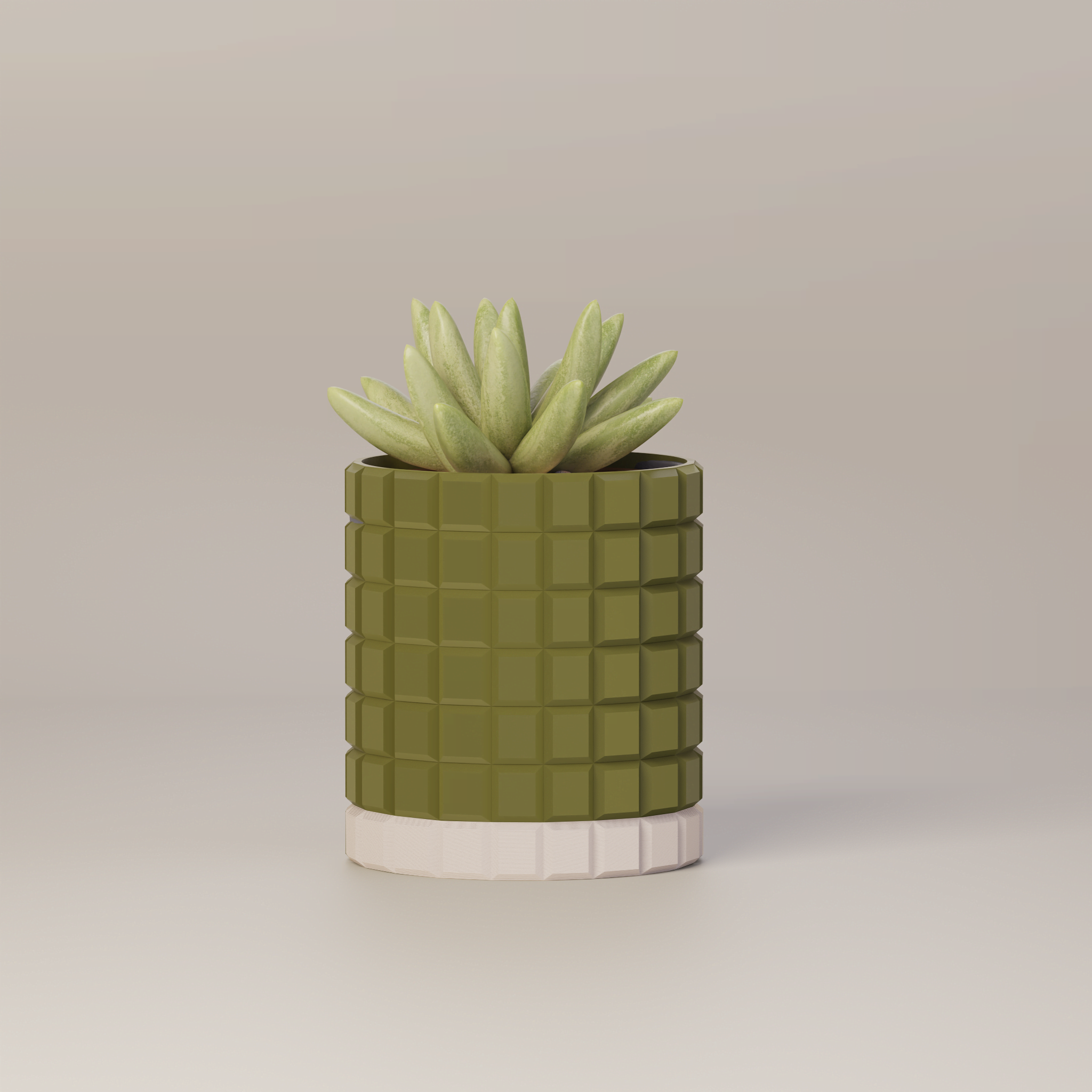 Molly - Modern 3D Printed Planter