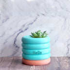 Danny - Custom Text Engraving Planter with Pastel Colors