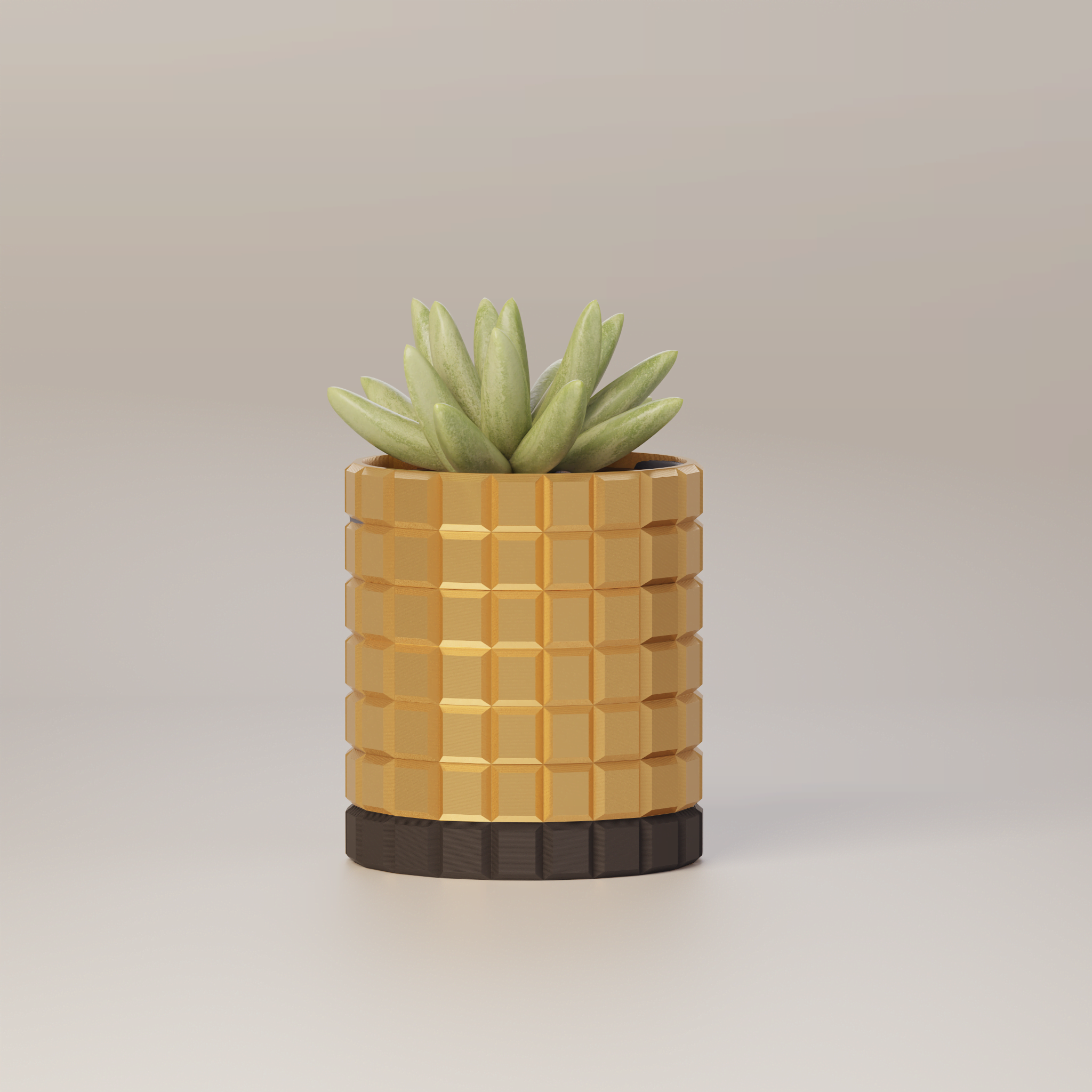 Molly - Modern 3D Printed Planter