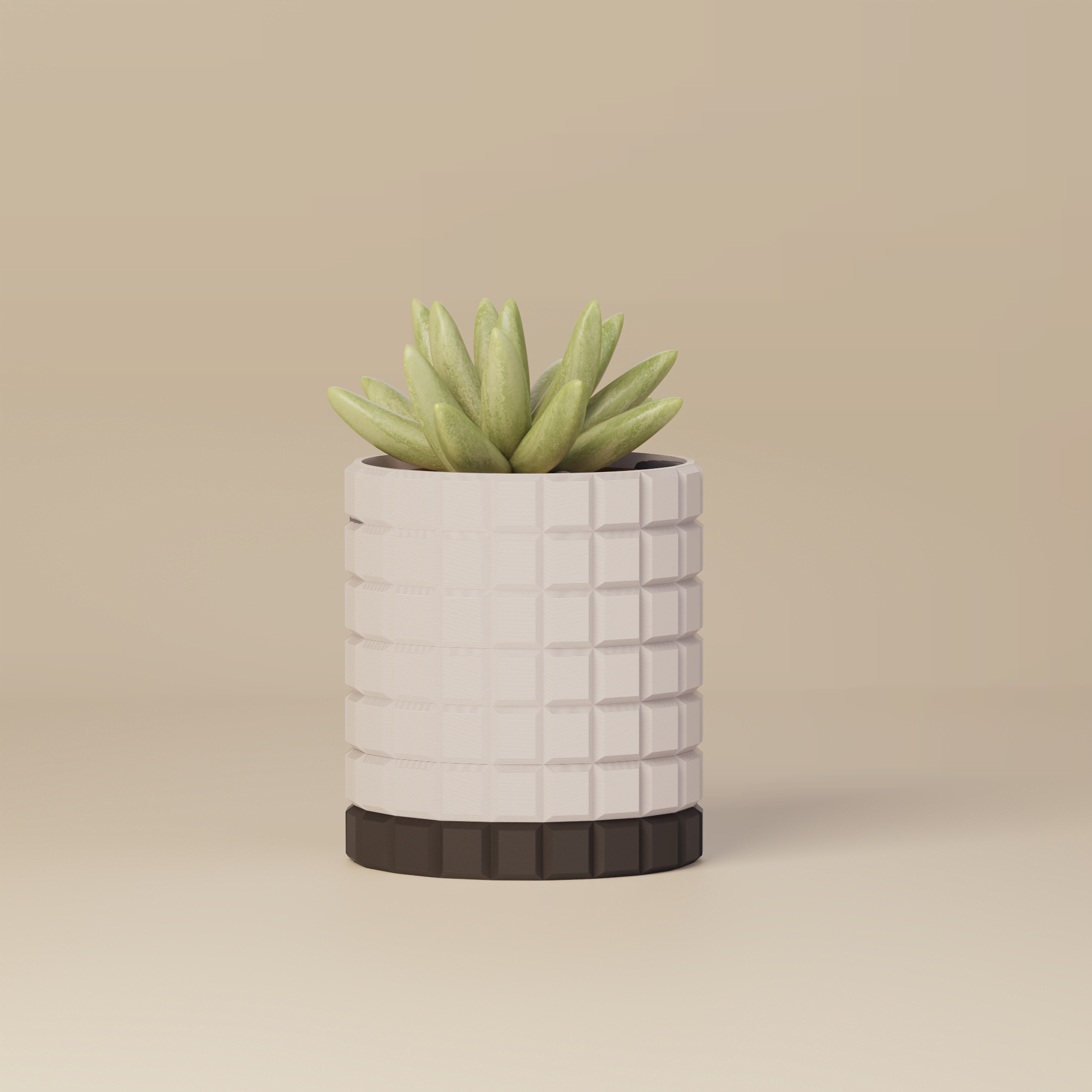 Molly - Modern 3D Printed Planter