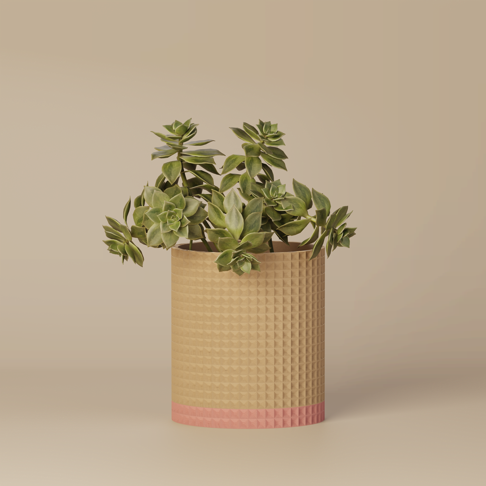Moory - Detailed 3D Printed Planter