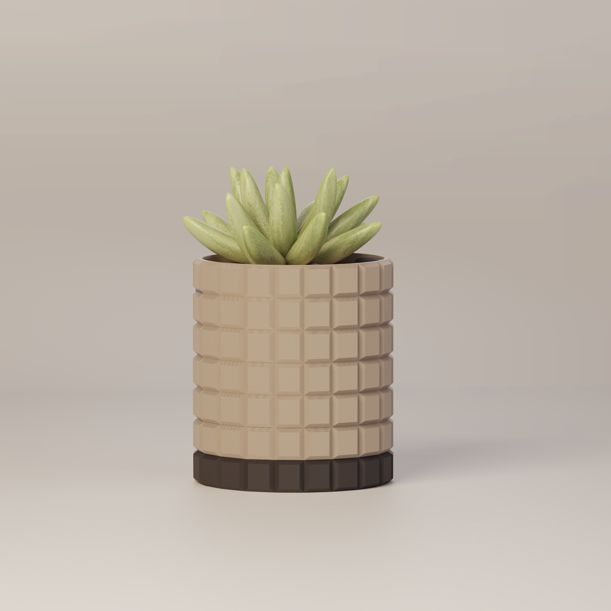 Molly - Modern 3D Printed Planter