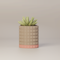 Molly - Modern 3D Printed Planter