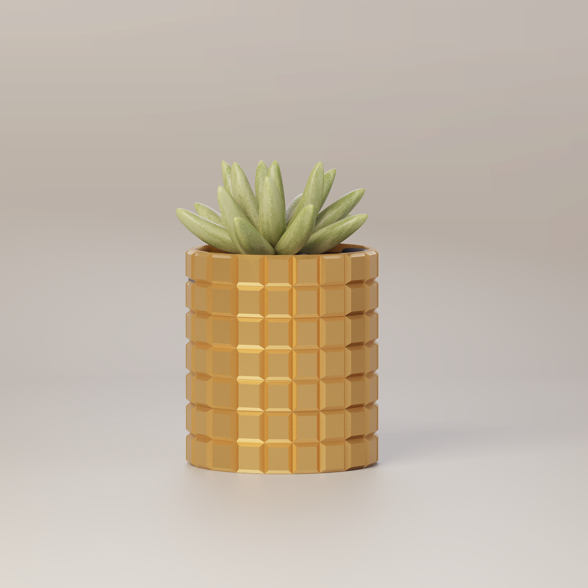 Molly - Modern 3D Printed Planter