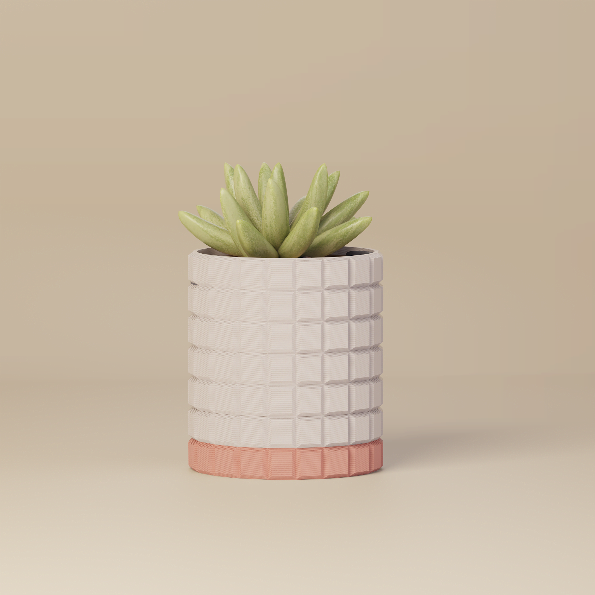 Molly - Modern 3D Printed Planter