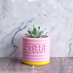 Donna - Custom Text Engraving Planter with Pastel Colors