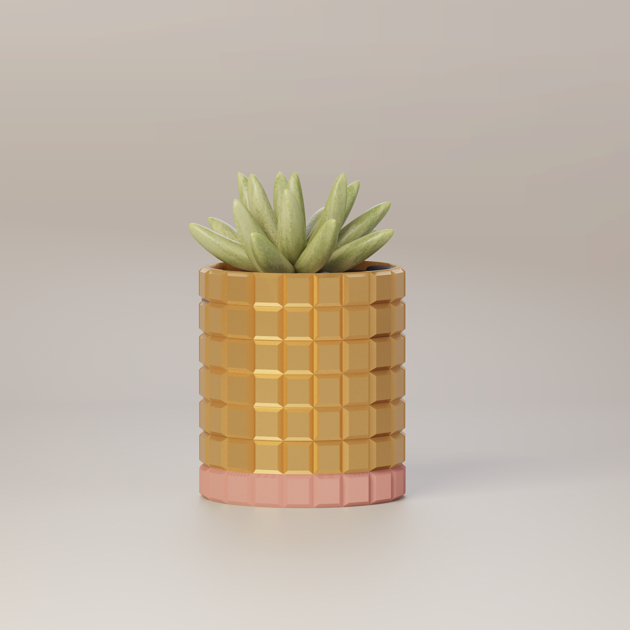 Molly - Modern 3D Printed Planter