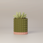 Molly - Modern 3D Printed Planter