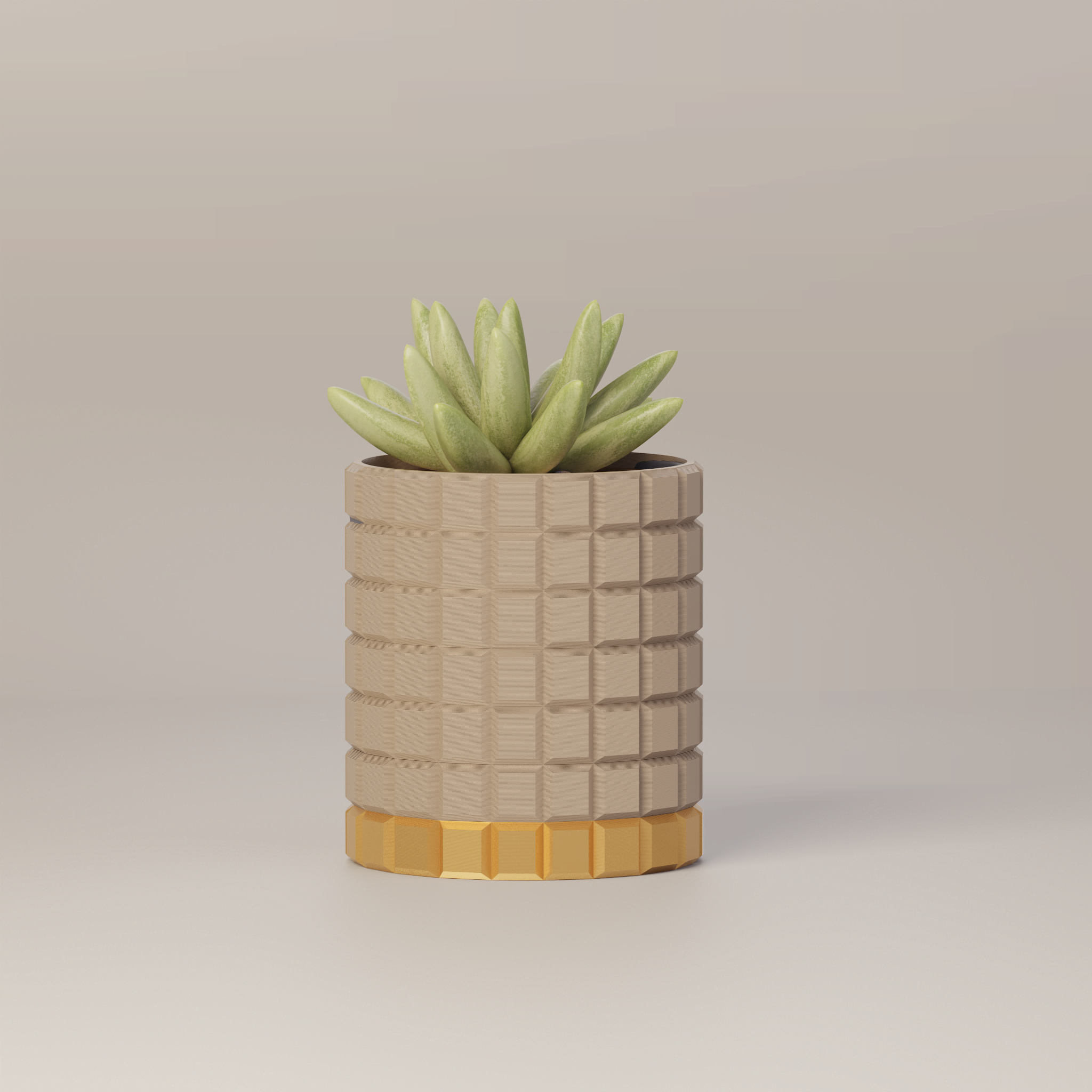 Molly - Modern 3D Printed Planter