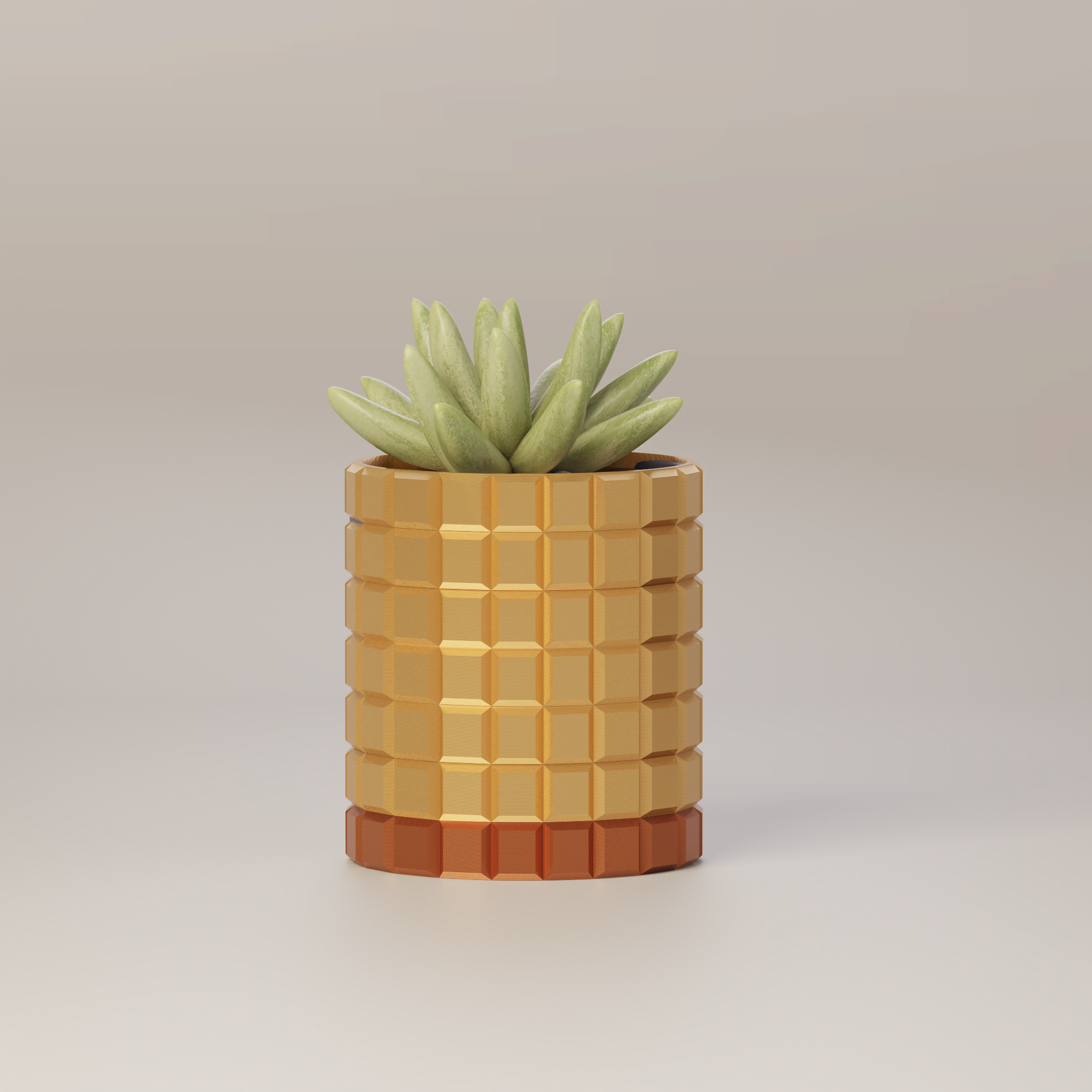 Molly - Modern 3D Printed Planter