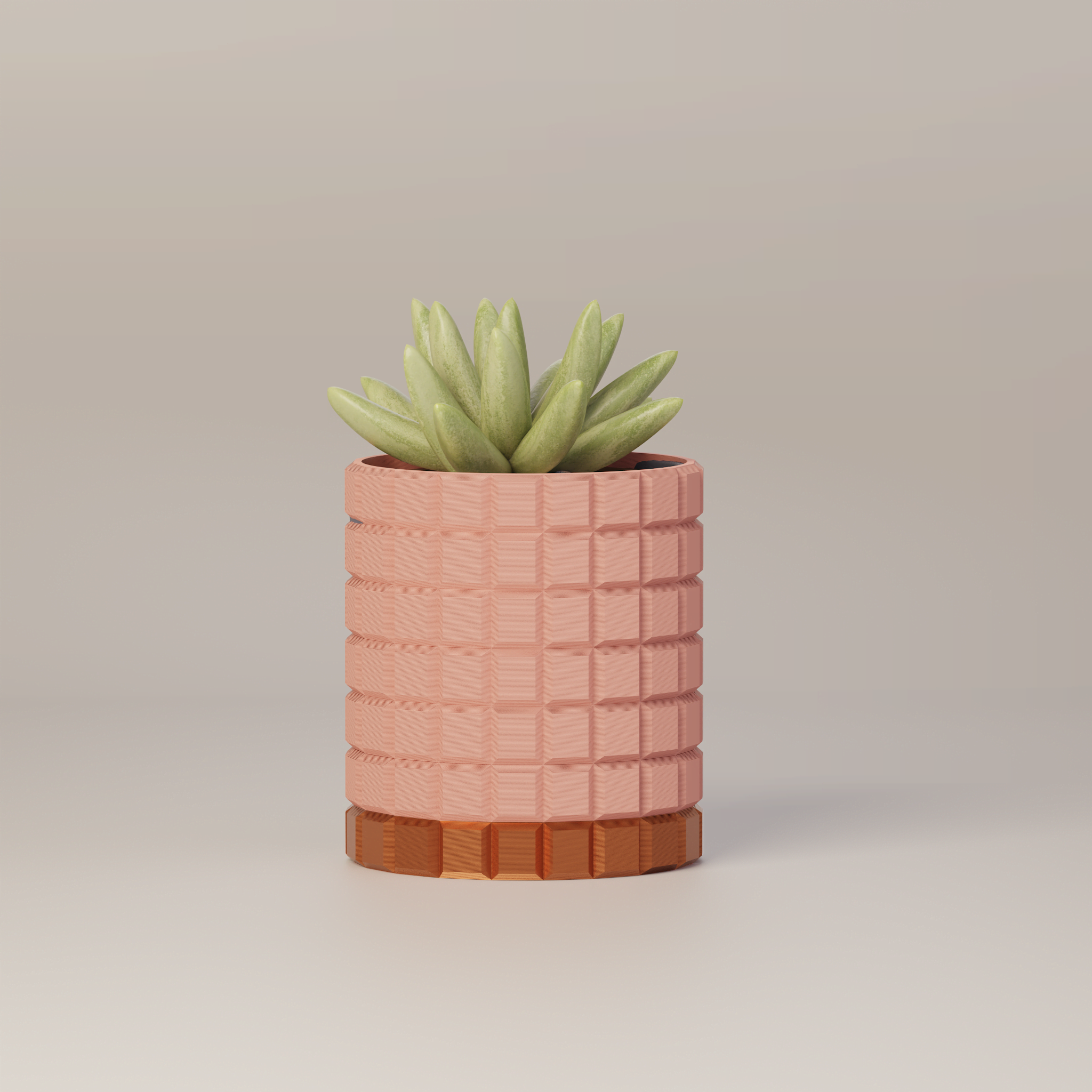 Molly - Modern 3D Printed Planter