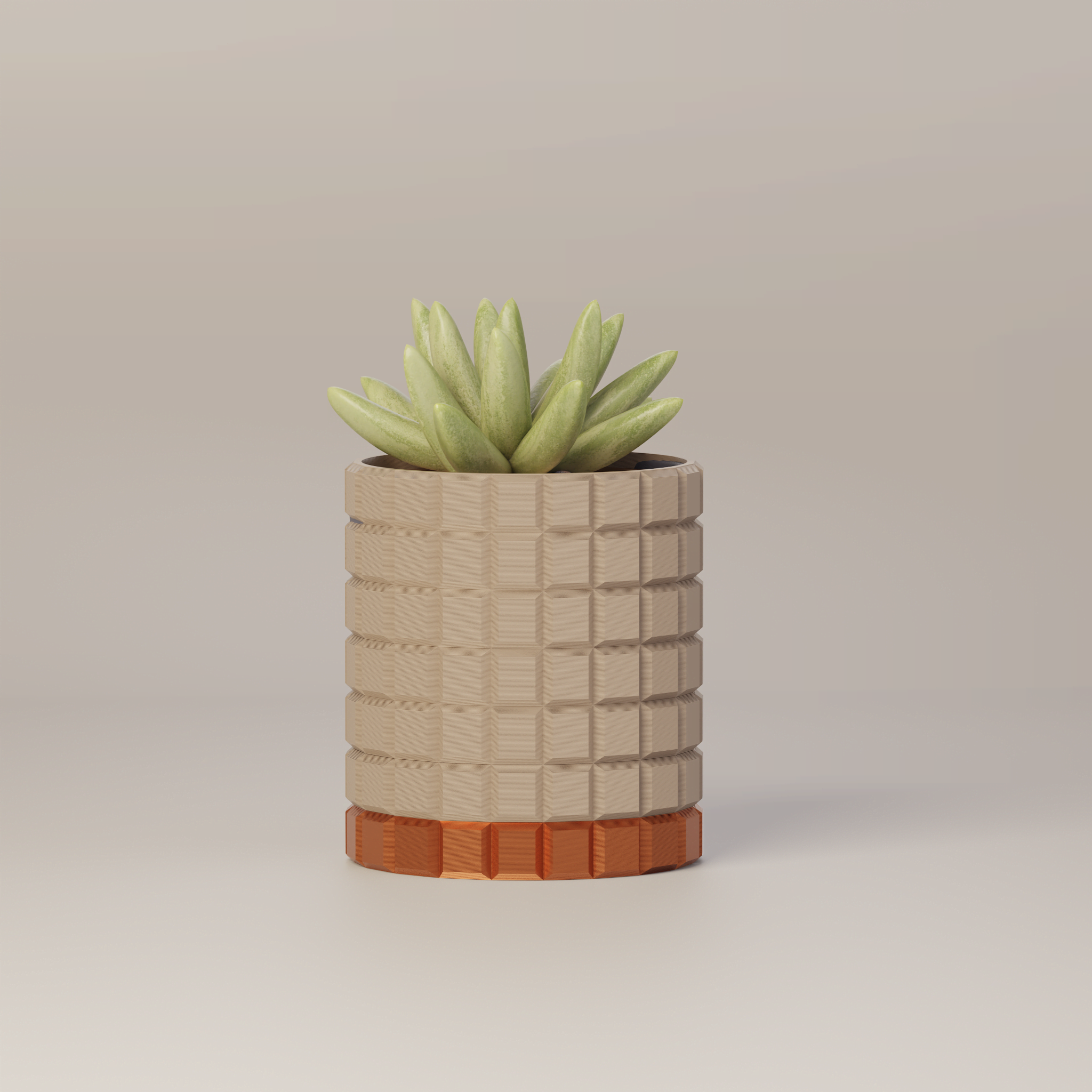Molly - Modern 3D Printed Planter