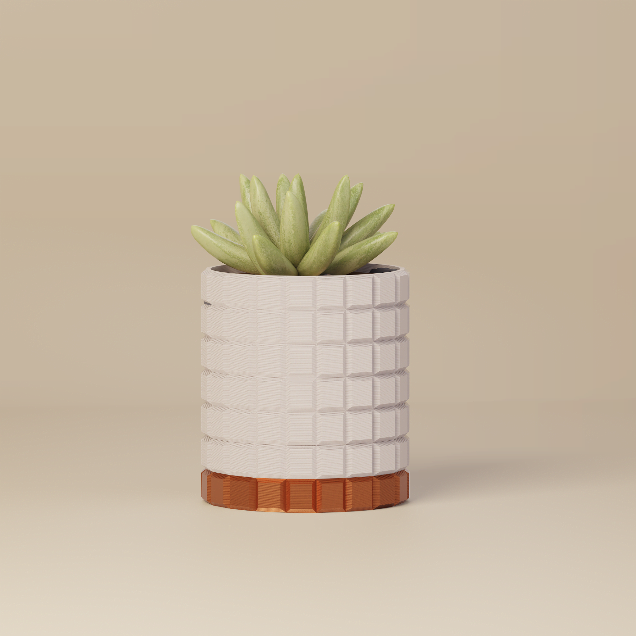 Molly - Modern 3D Printed Planter