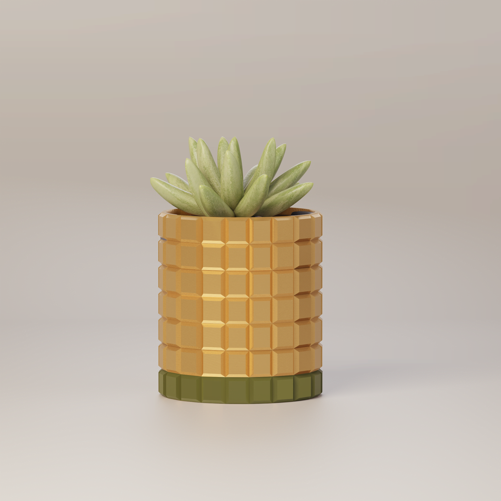 Molly - Modern 3D Printed Planter