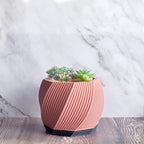 Toto - Sculptural 3D Printed Planter