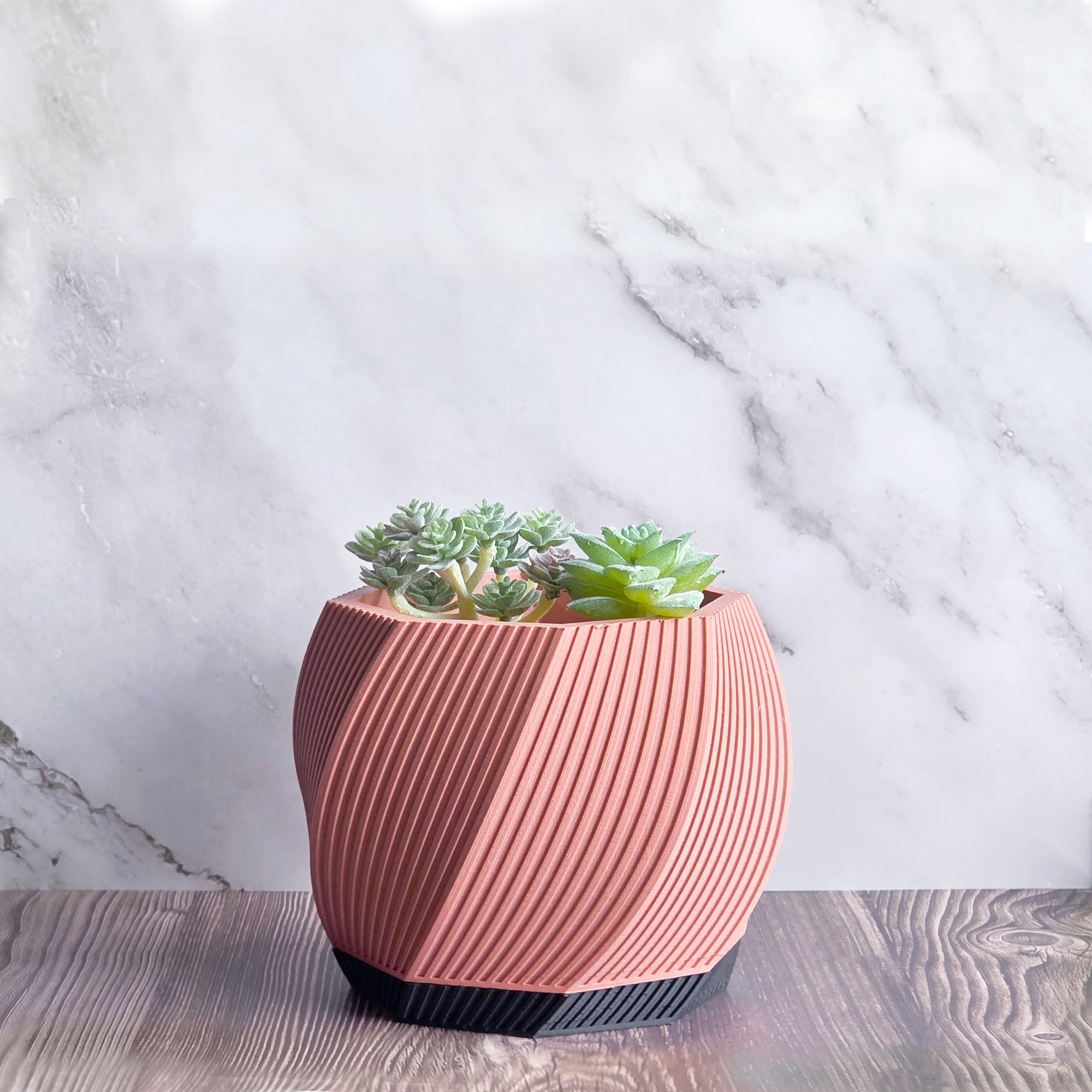 Toto - Sculptural 3D Printed Planter
