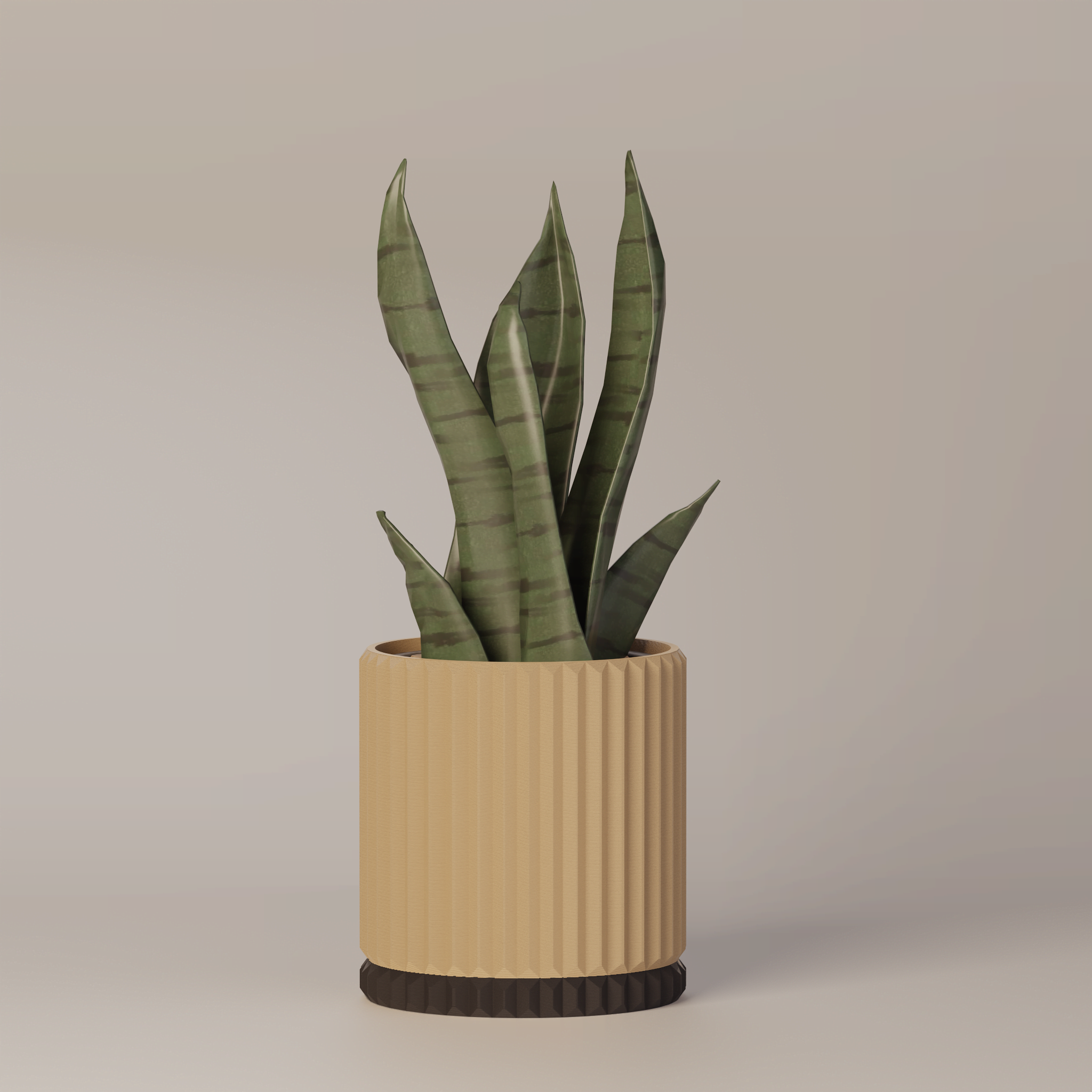 Merry - Ribbed Modern Planter
