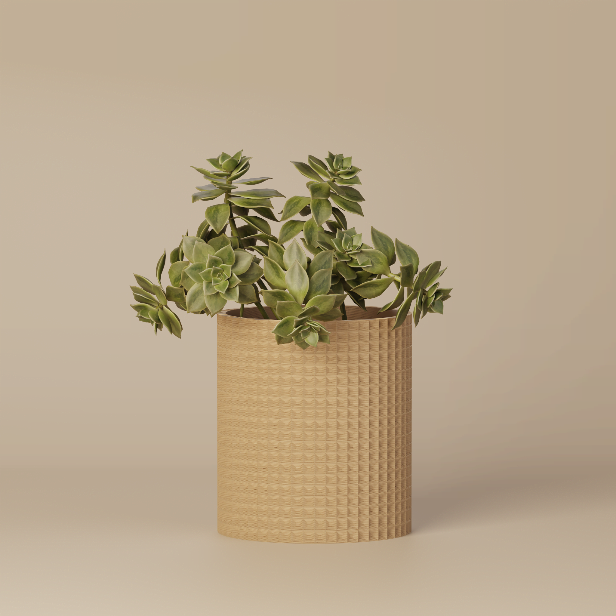 Moory - Detailed 3D Printed Planter