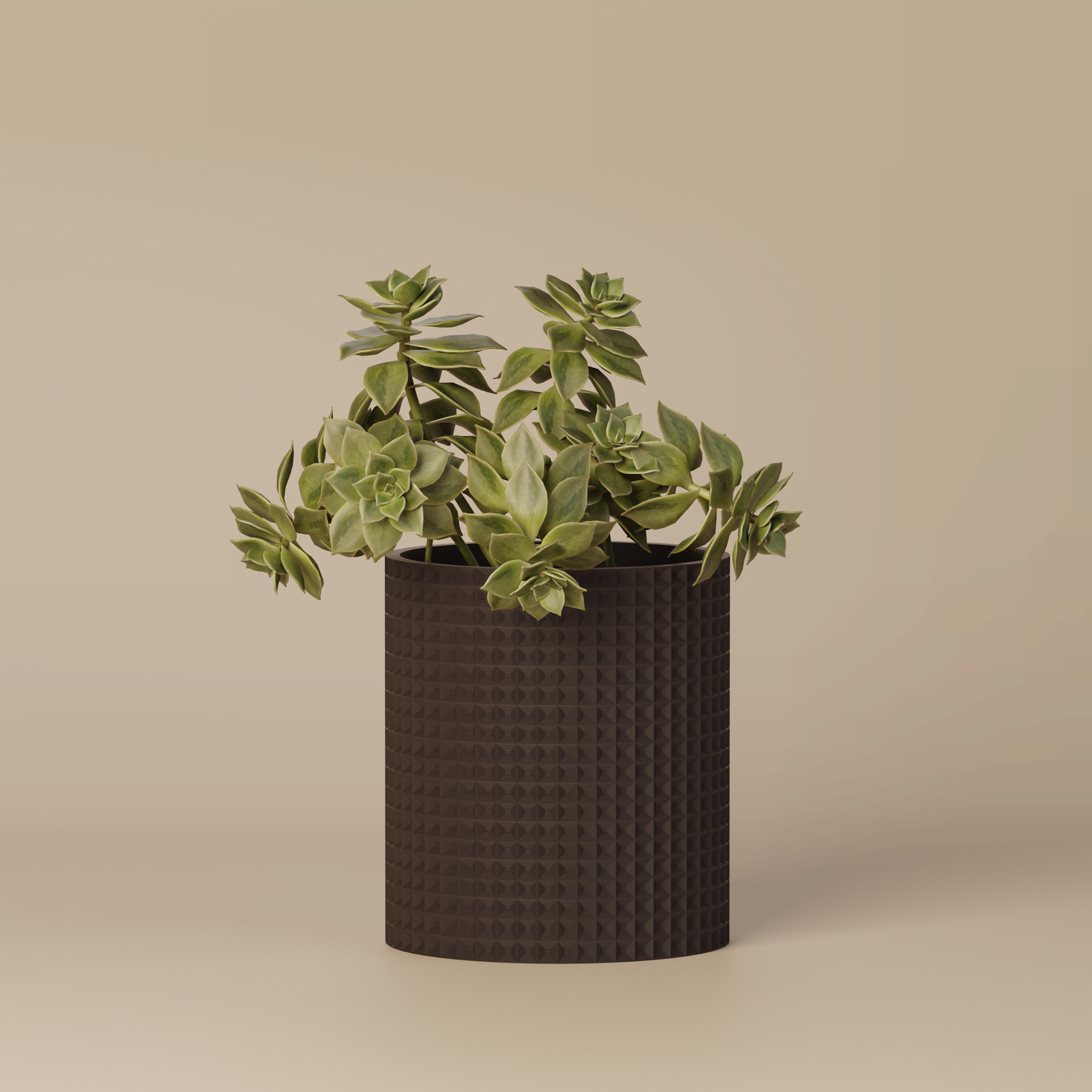 Moory - Detailed 3D Printed Planter