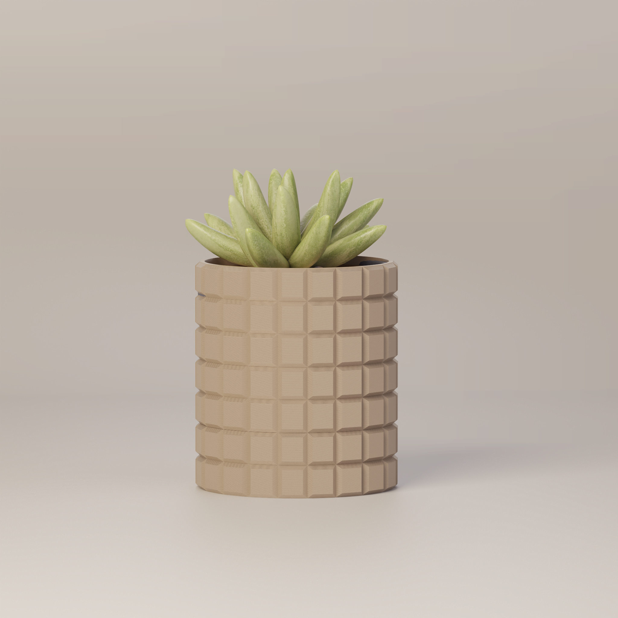 Molly - Modern 3D Printed Planter