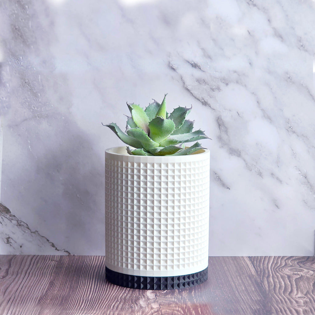 Moory - Detailed 3D Printed Planter
