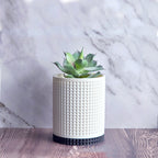 Moory - Detailed 3D Printed Planter