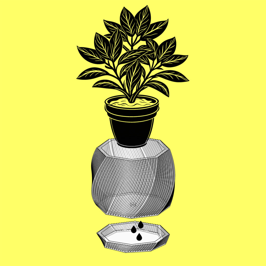 Toto - Sculptural 3D Printed Planter