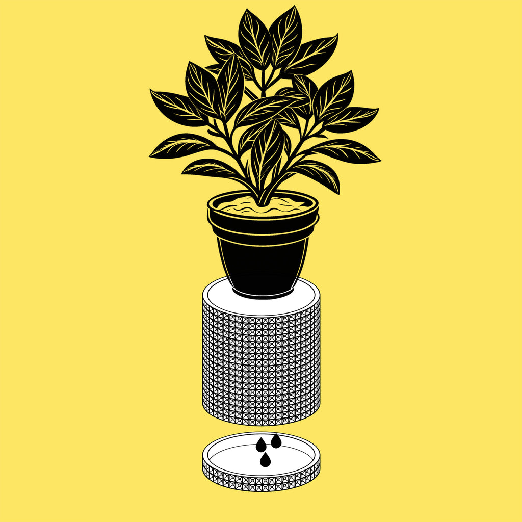 Moory - Detailed 3D Printed Planter