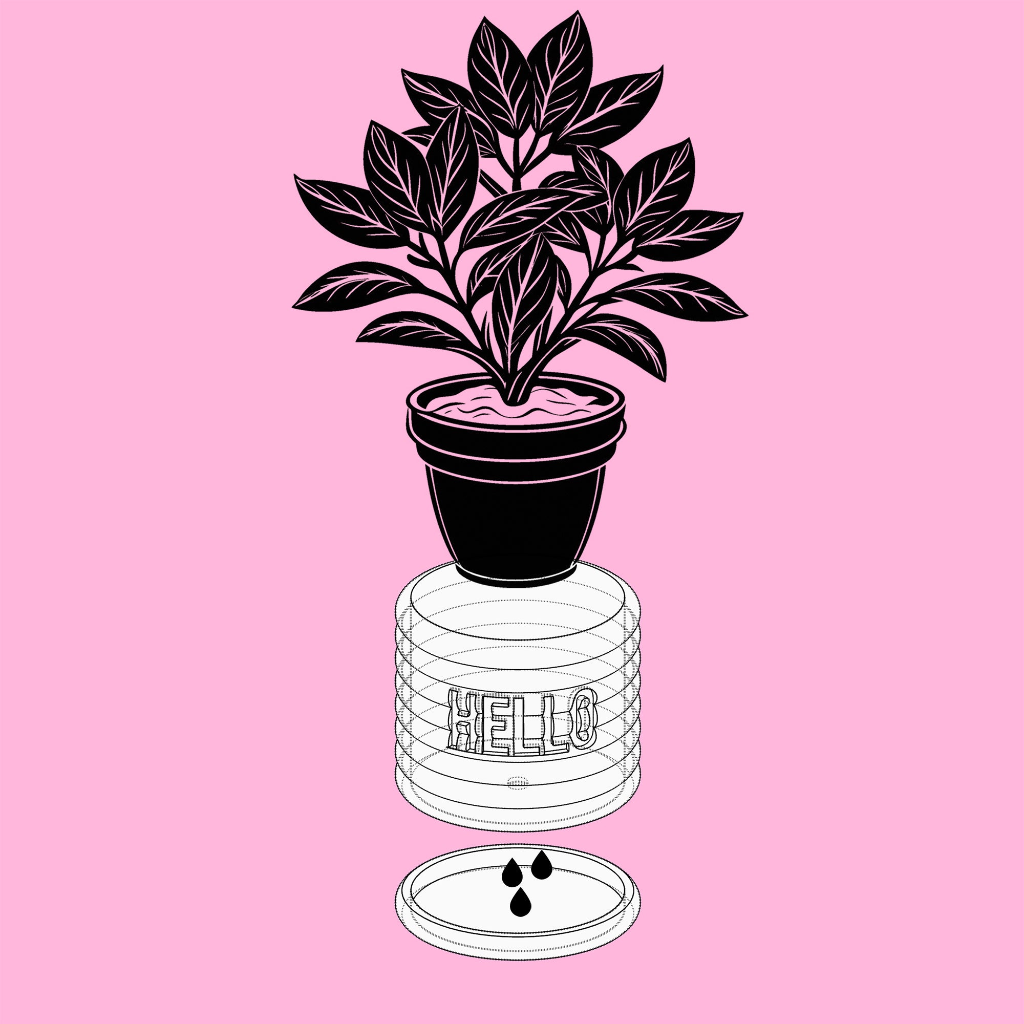 Danny - Custom Text Extruding Planter with Pastel Colors
